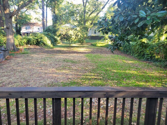 Back Yard - 1131 Montreat Ave SW