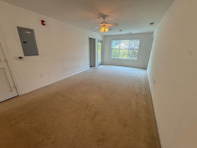 Building Photo - 4 Bed 4 Bath Condo with New carpet available now!!!