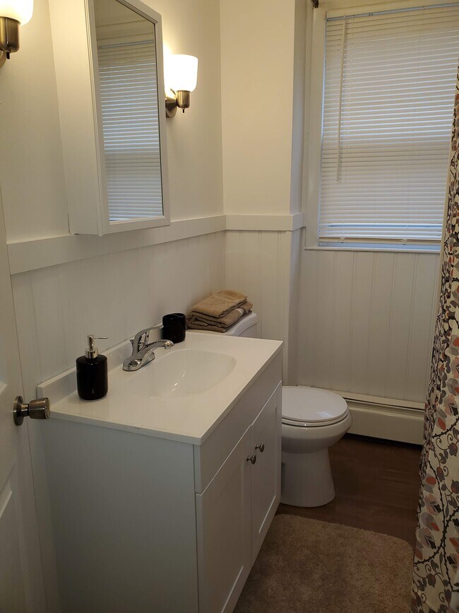 New Bathroon - 87 Vinton St