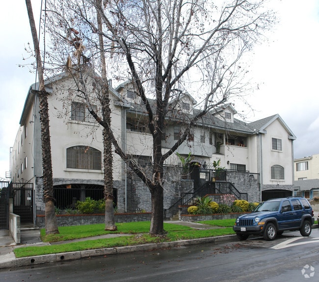 tree obstruction - 5241 Cartwright Ave