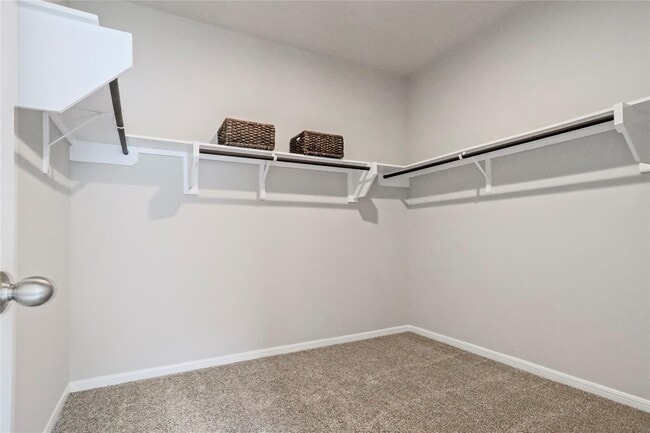 Building Photo - 5839 Brimstone Hill Ln