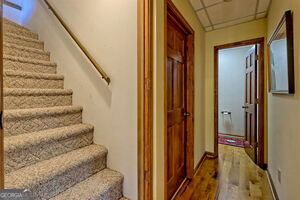 Building Photo - 842 Saddle Back Cir