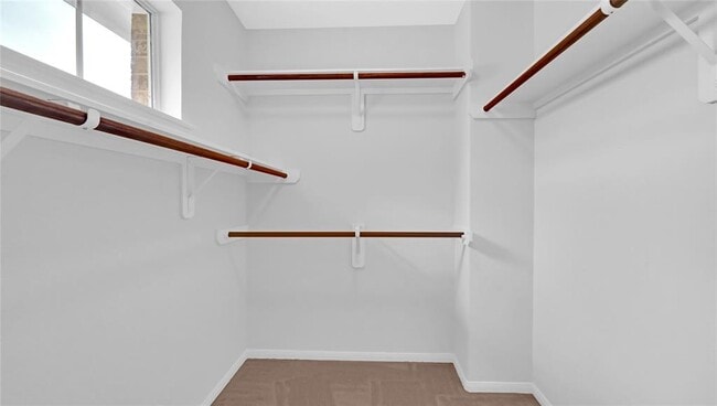 Building Photo - 1615 Grable Cove Ln