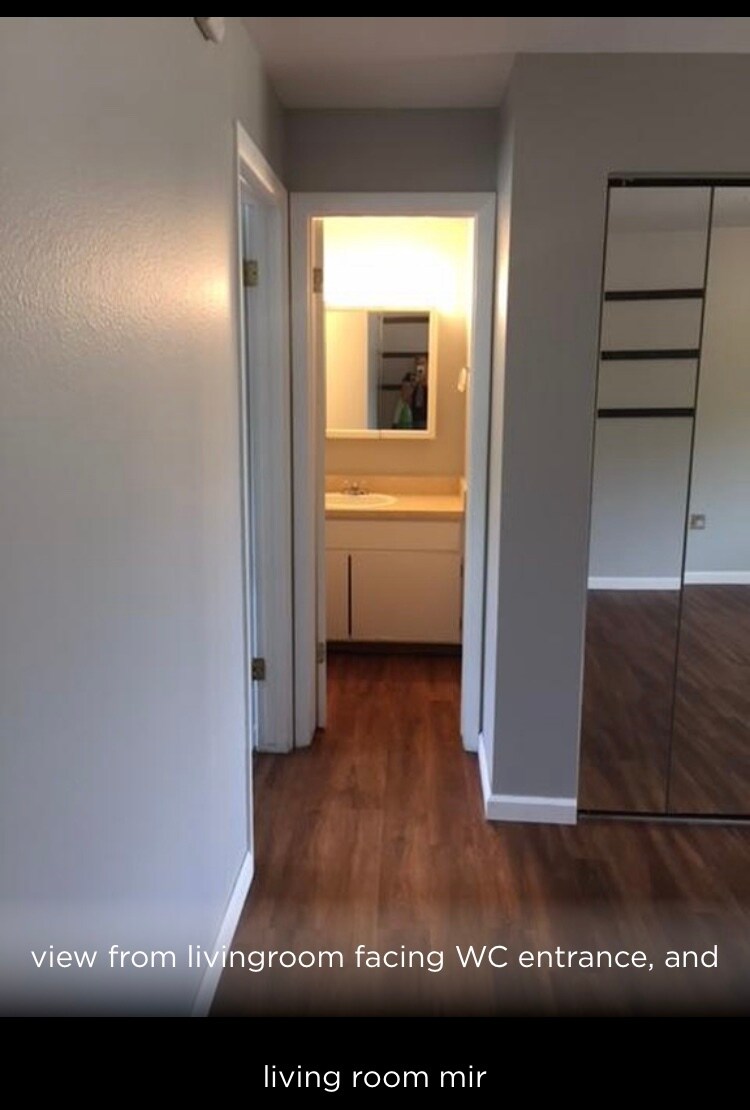 Entry to vanity sink before the WC and shower area - 3161 Madison Ave