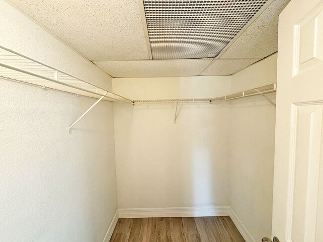 Building Photo - 4465 Treehouse Ln