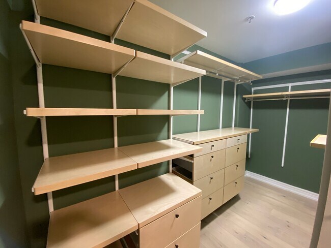 master walk-in closet - 631 Folsom St