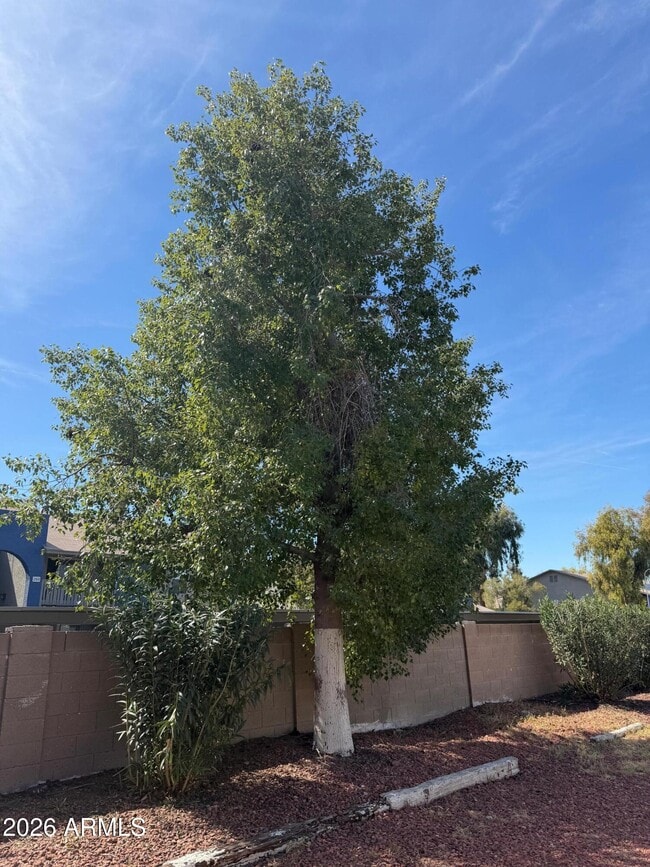 Building Photo - 6815 W Carol Ave