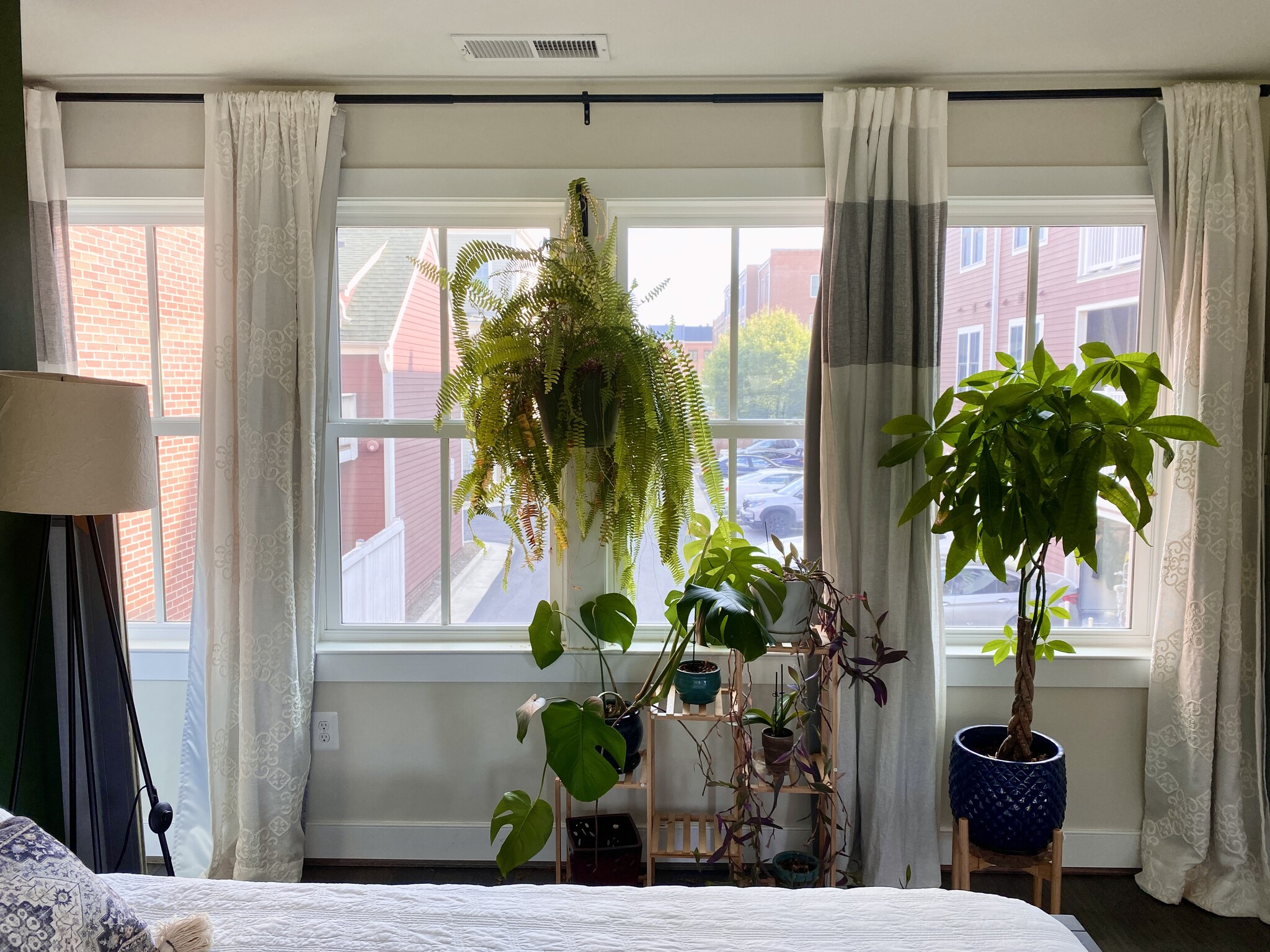 South facing windows overlooking cul-de-sac and alley. - 2115 Main Line Blvd