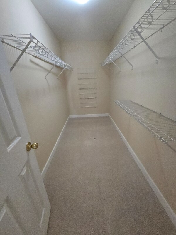 Building Photo - 5653 Cabinwood Ct