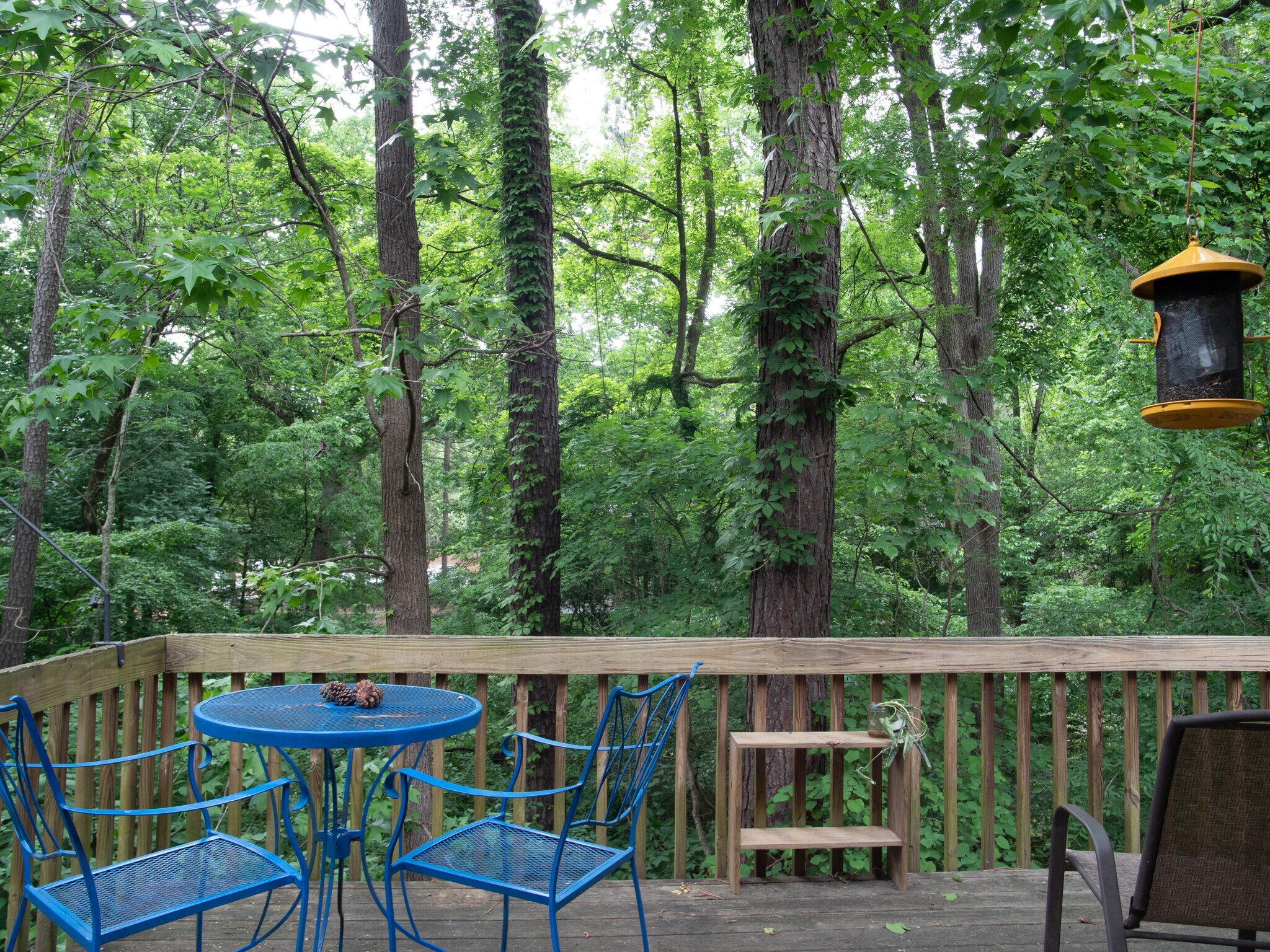 Building Photo - 210 Cedarwood Ln