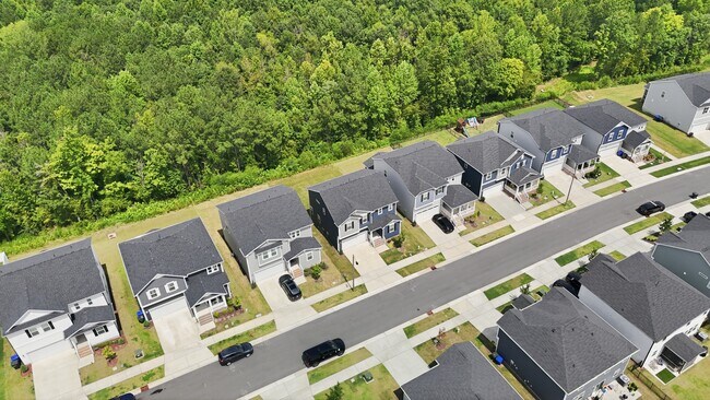 Building Photo - 1513 Underbrush Dr