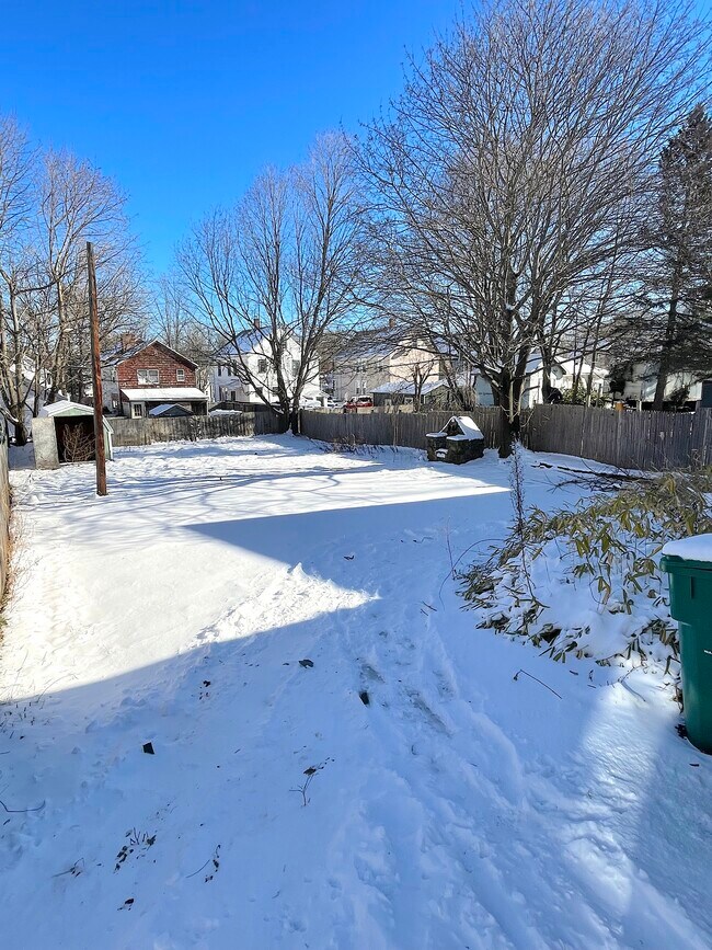 Backyard & Driveway - 171 Beechwood Ave