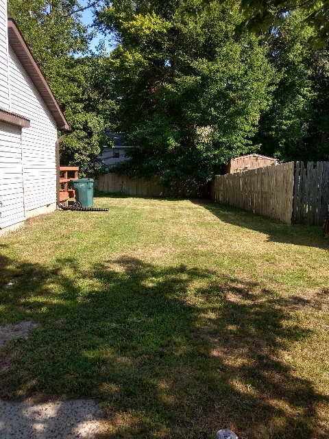 Side Yard - 314 Lake Crystalbrook Dr