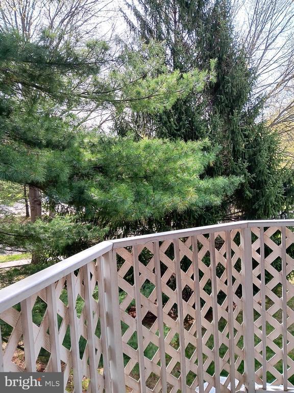 Building Photo - 1606 Diamond Dr