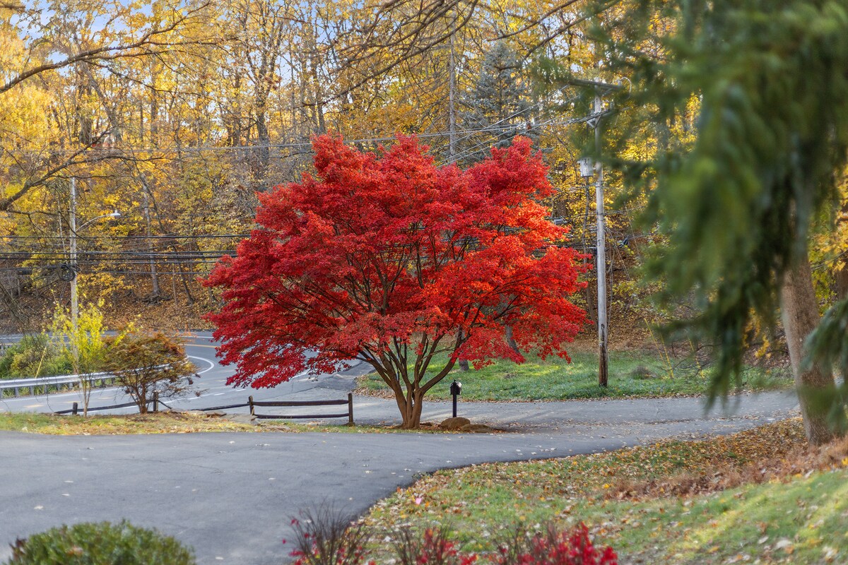 Building Photo - 1 Myrtle Hill Rd