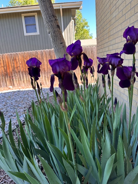 Building Photo - 661 S Fulton St