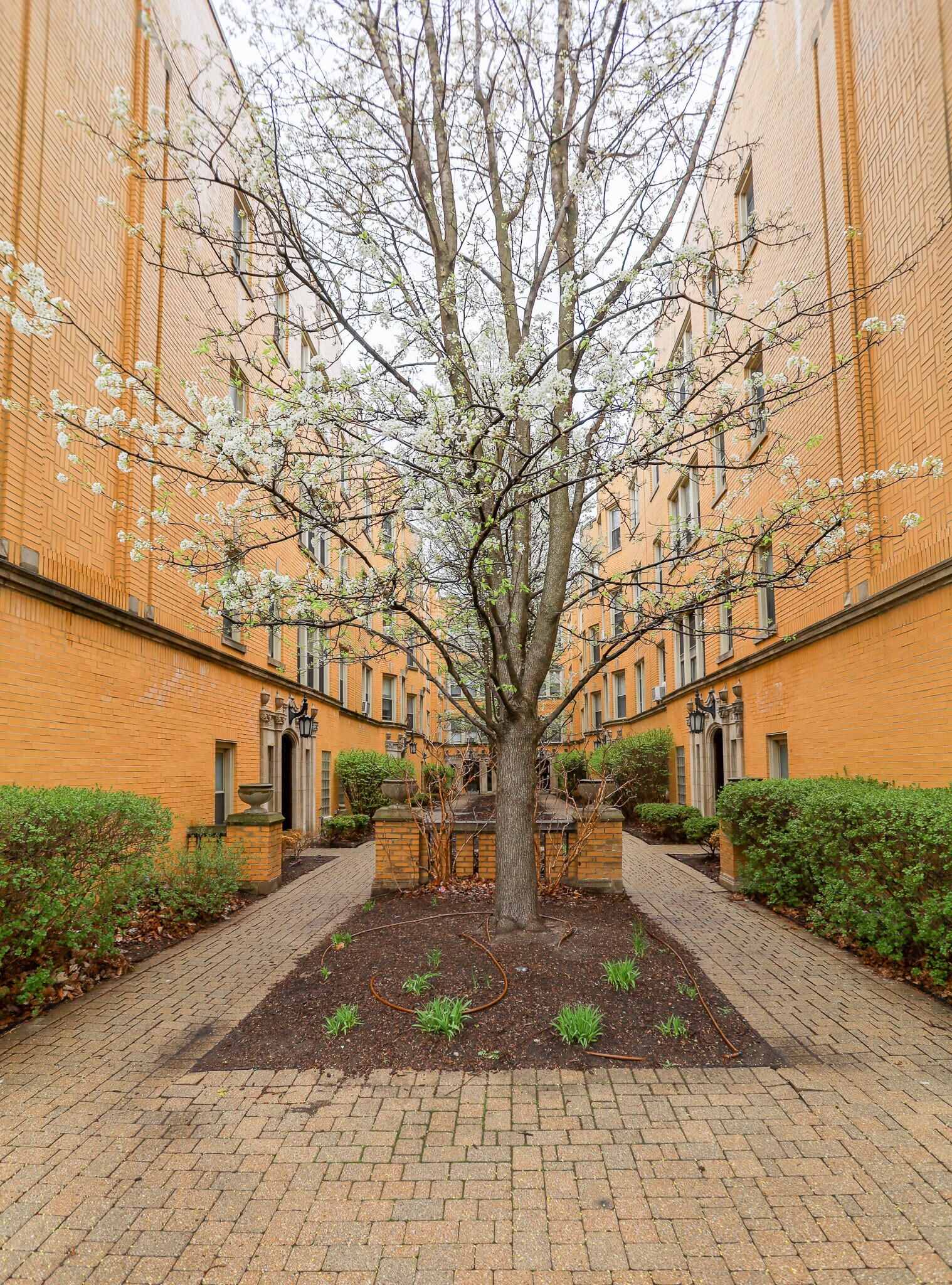 Building Photo - 4243 N Keystone Ave