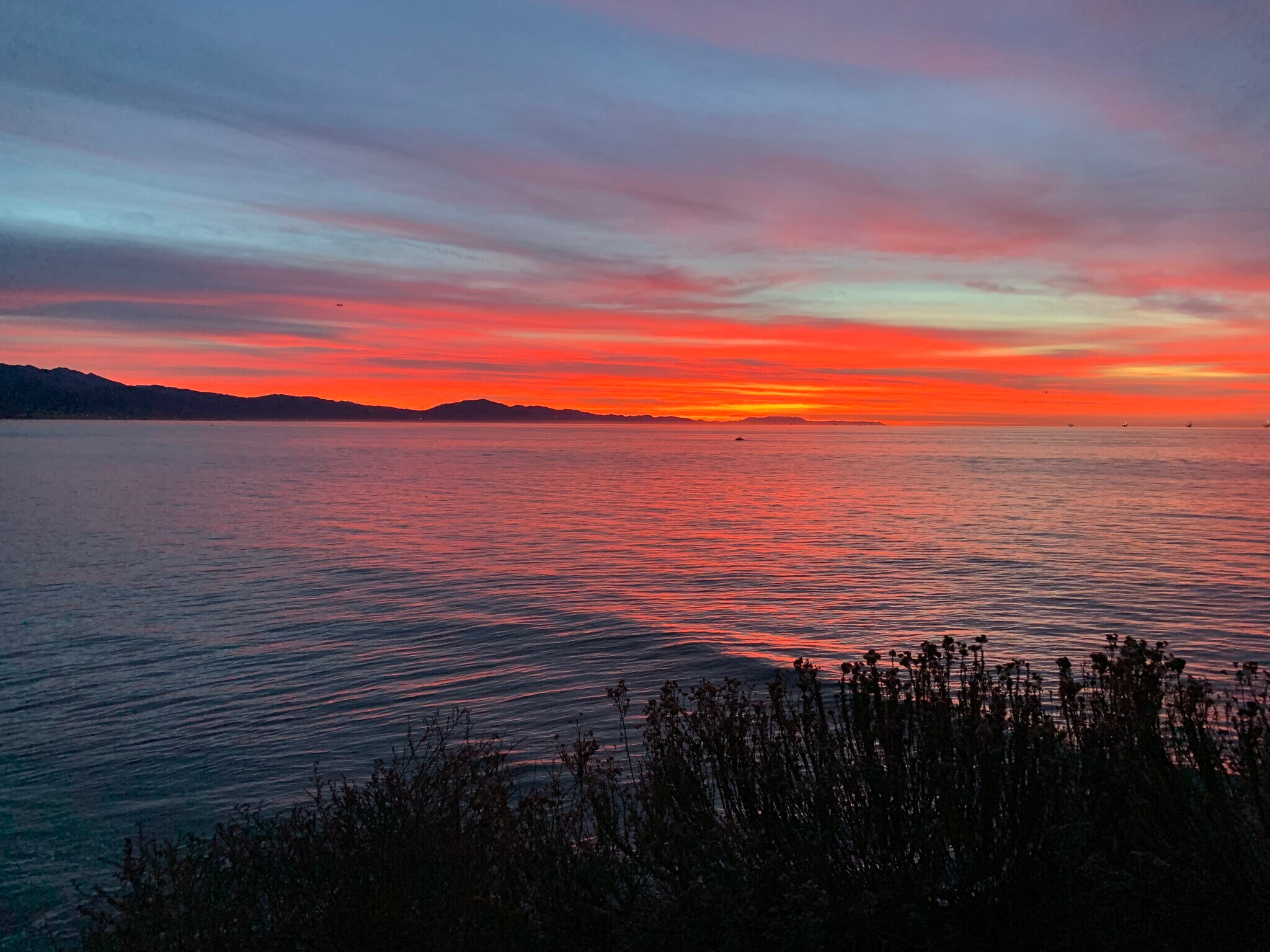 Building Photo - 144 San Rafael Ave