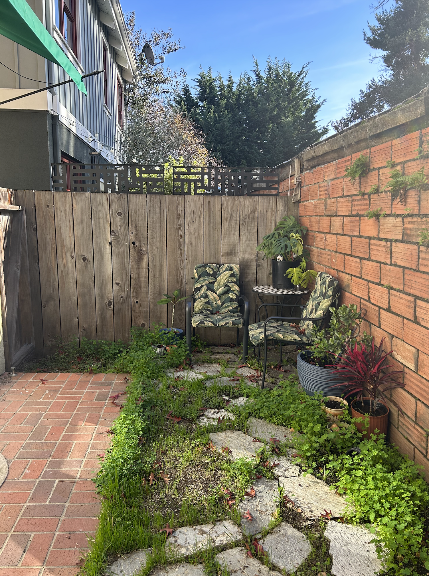 Backyard (furniture not included) - 535 29th St