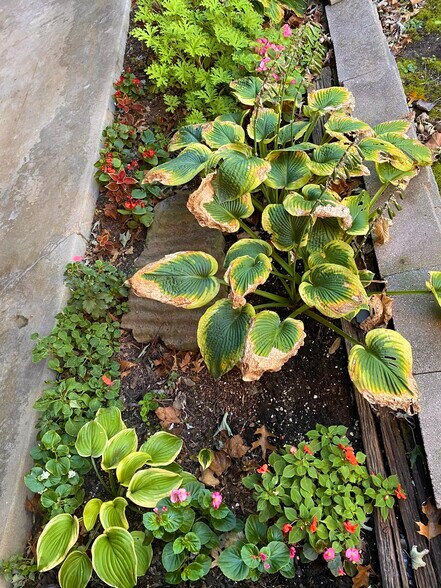 Building Photo - 305 W Quantico St