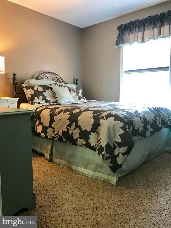 Building Photo - 8 Plumosa Dr