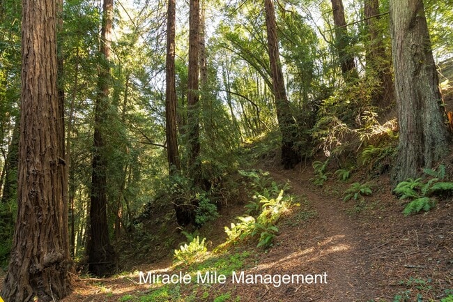Building Photo - Unique Tudor Style Home with bonus cottage