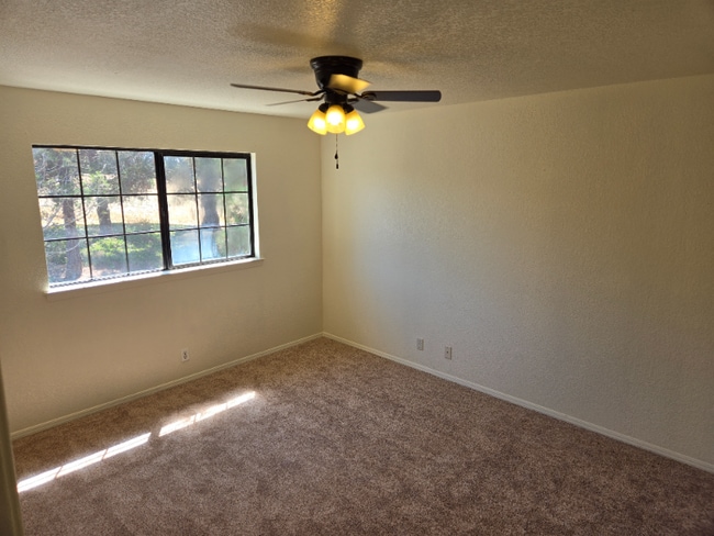 Building Photo - 652 Shady Ln