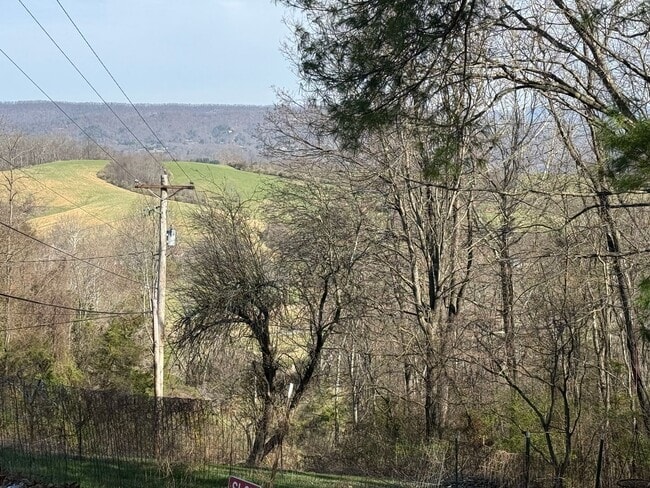 Building Photo - 7074 Hickman Cemetery Rd