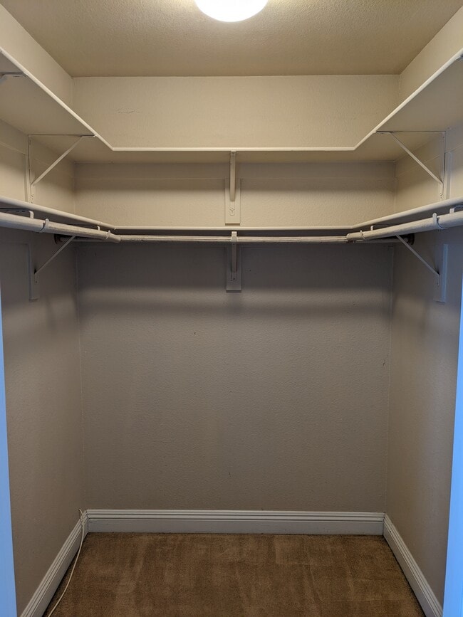 Building Photo - 111 Bass Dr