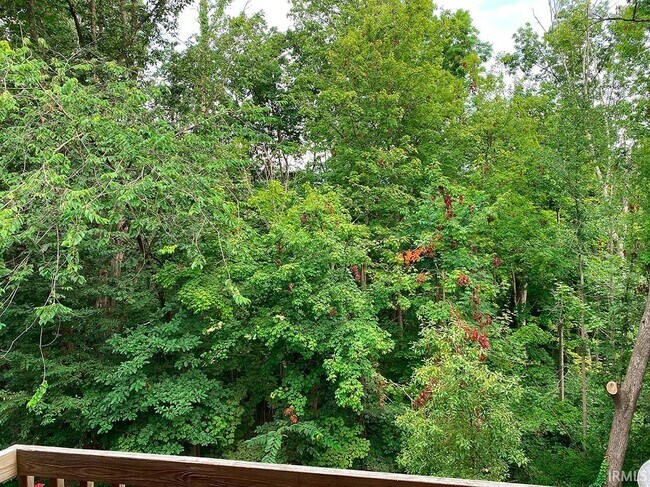 Building Photo - 2344 E Winding Brook Cir