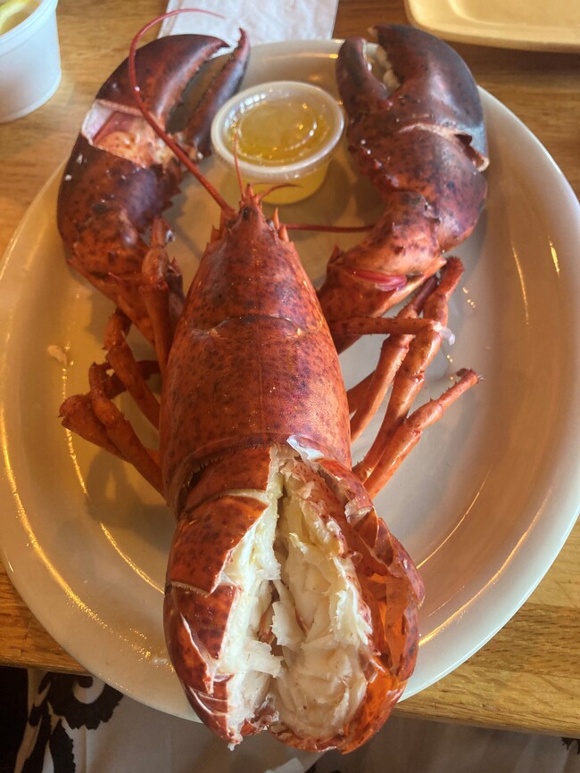 Lobster Feast at Boston's - 432 Bouchelle Dr