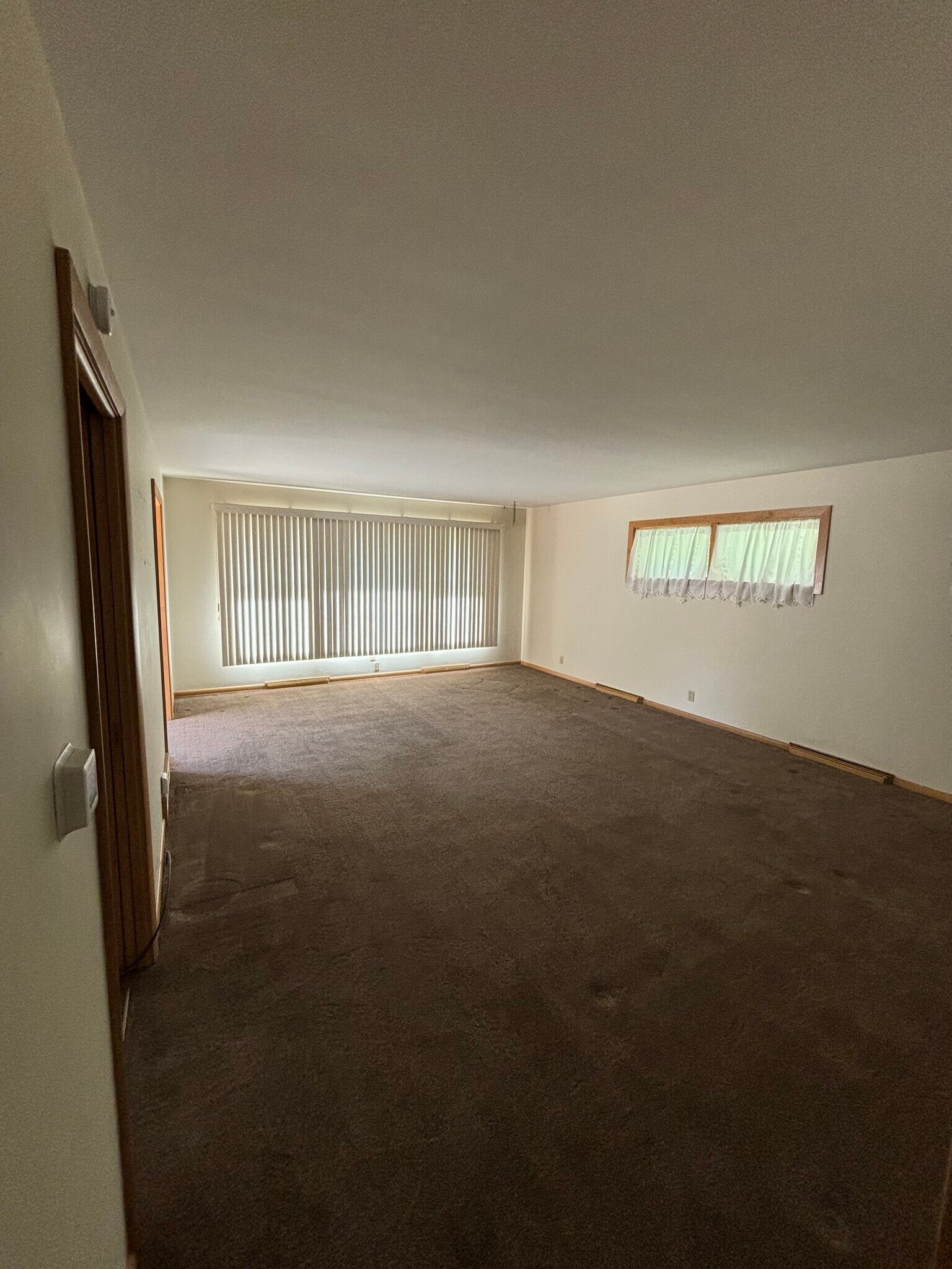 Carpeted living room with large windows - 815 E 6th St