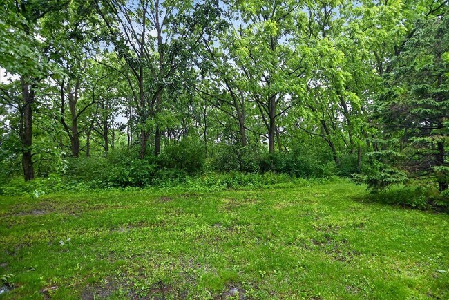 Building Photo - 8206 Starr Grass Dr