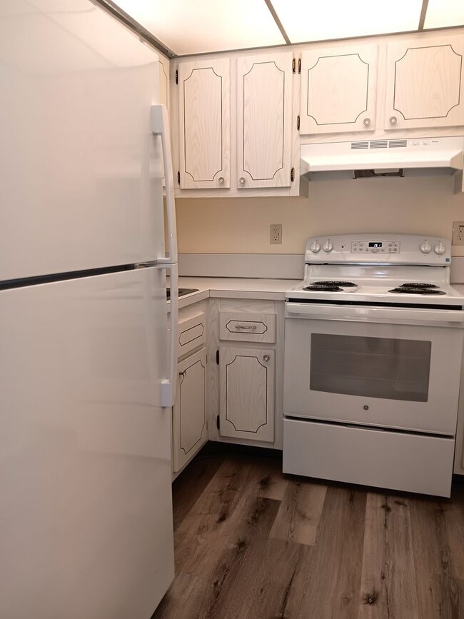 Building Photo - Sunny spot in St Pete, close to downtown & all kinds of shopping, dining