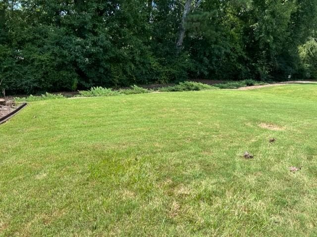 Building Photo - 229 Hickory Chase