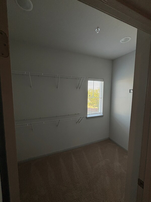 Building Photo - 950 FM2001