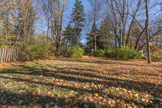 Back Yard - 10 Cottage St