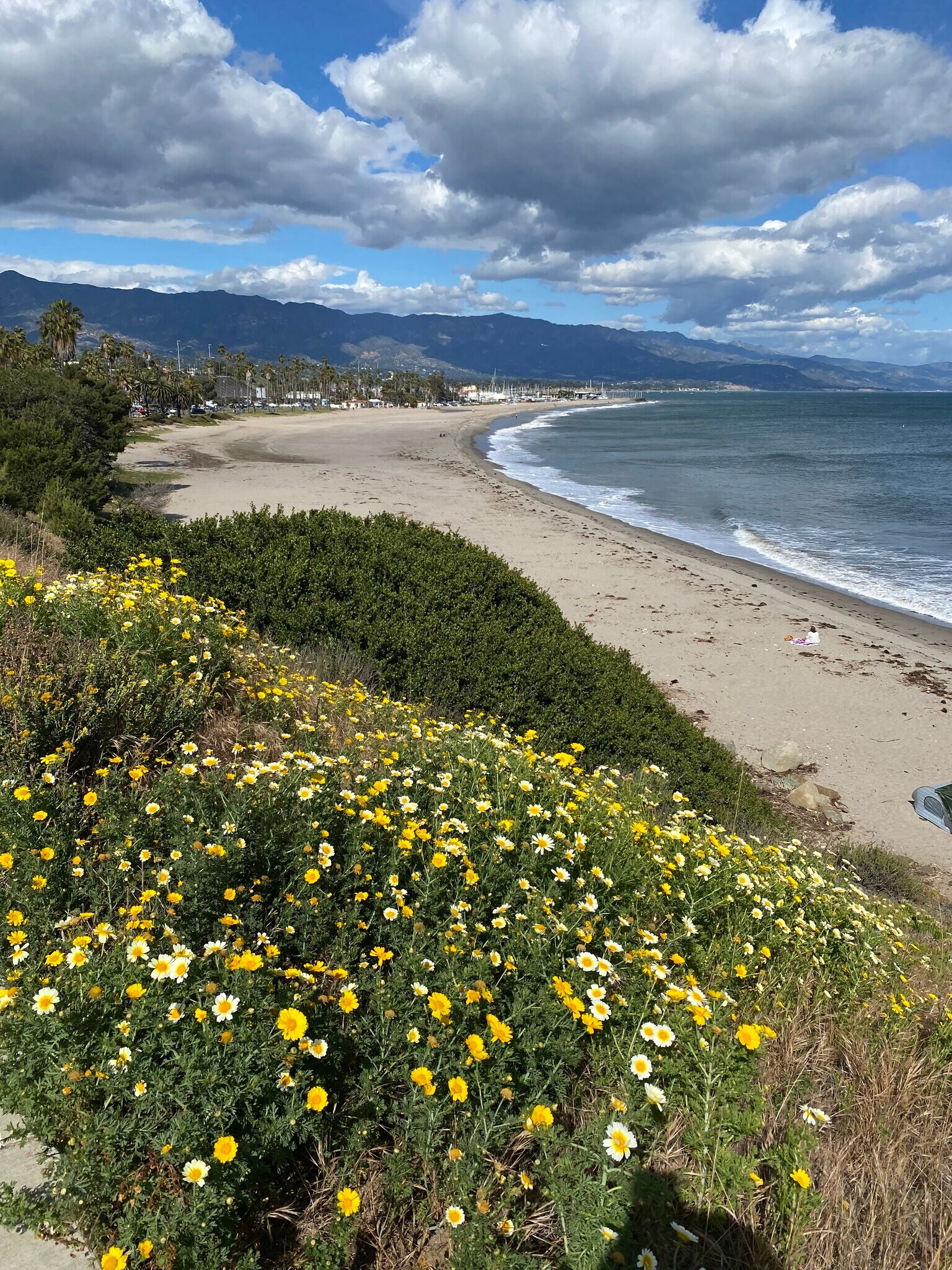 7.2 miles to Shoreline Park & beach - 380 Greendale Ct