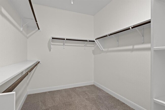 Building Photo - 3241 Aurelia Ln