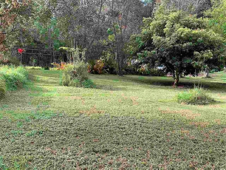 Large yard over 1+acres - 2190 Piiholo Rd