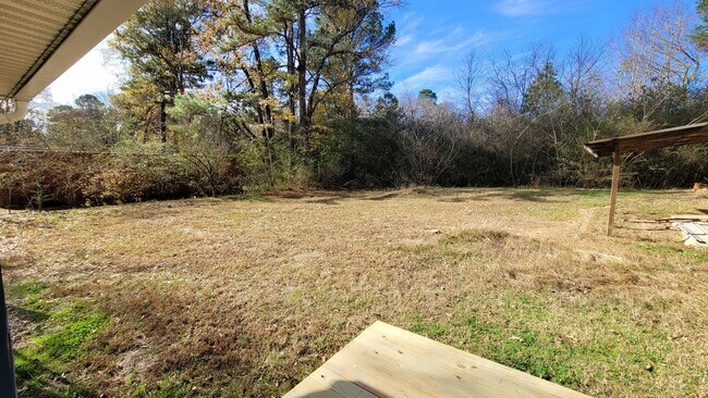 Building Photo - Sweet Gum