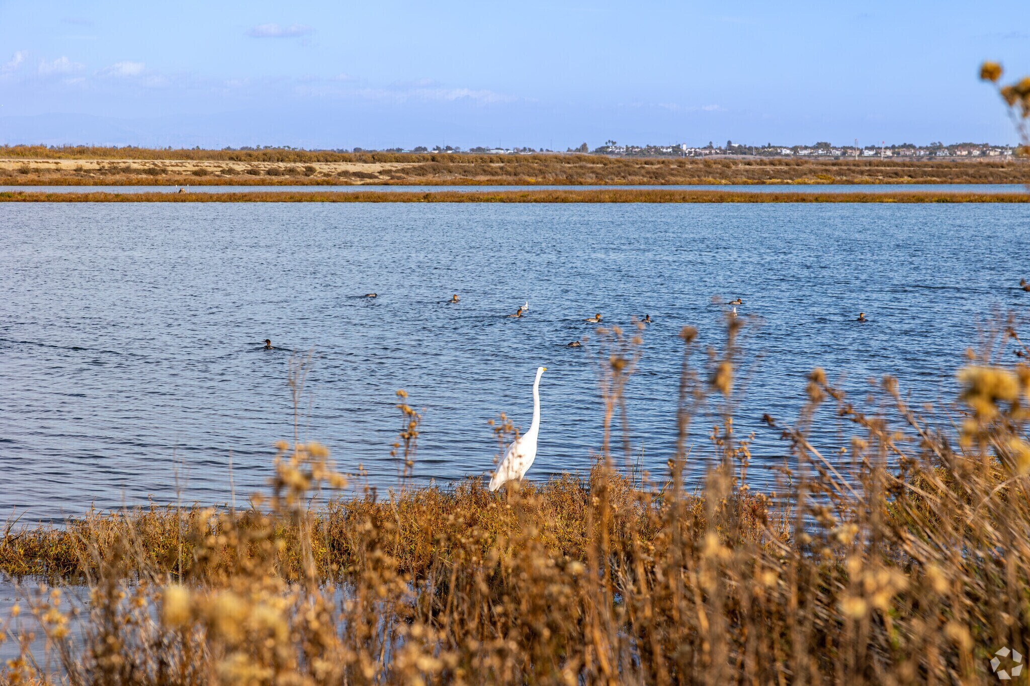 Building Photo - 305 Coral Reef Dr