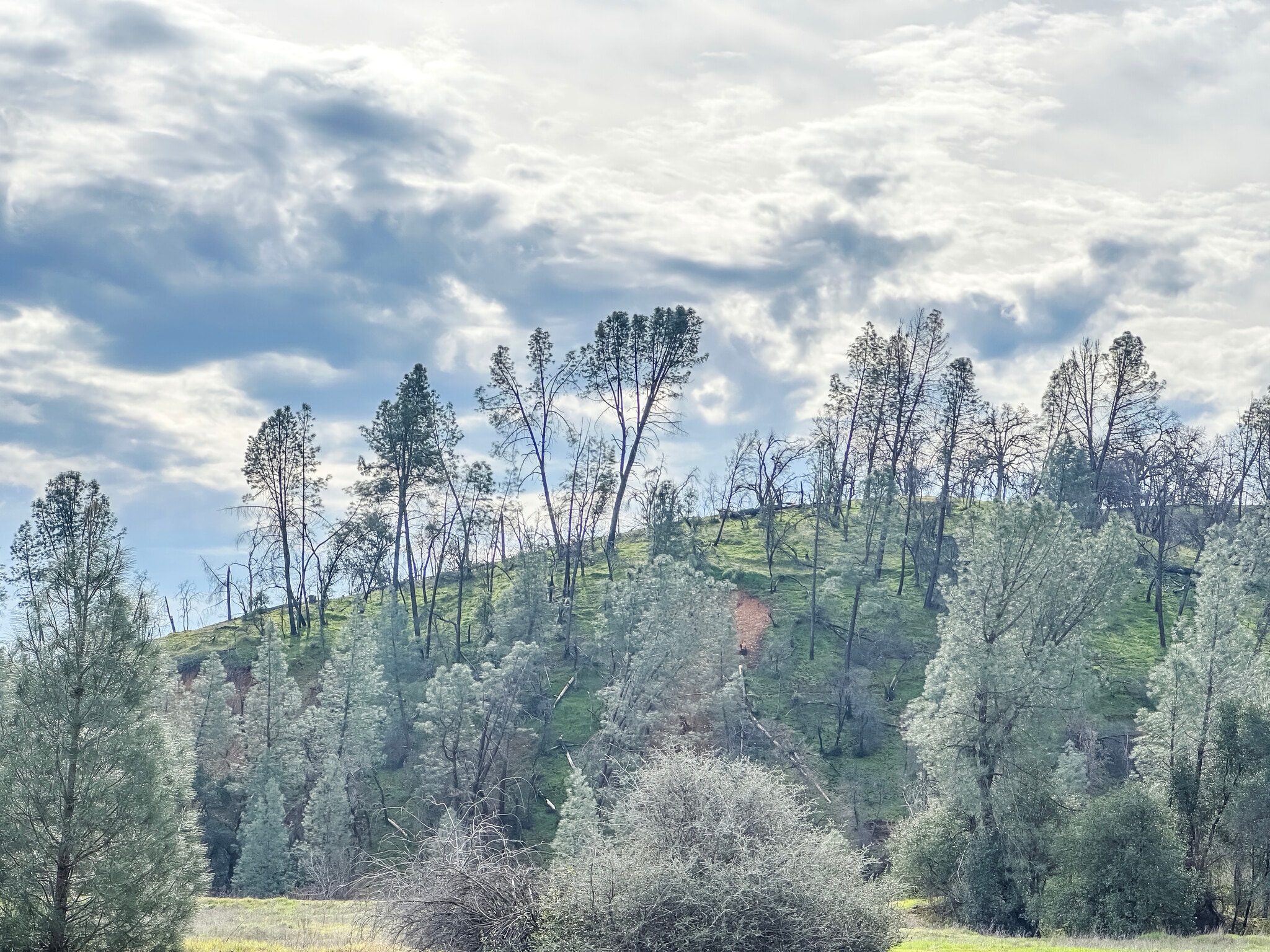 Building Photo - 1420 Branstetter Ln