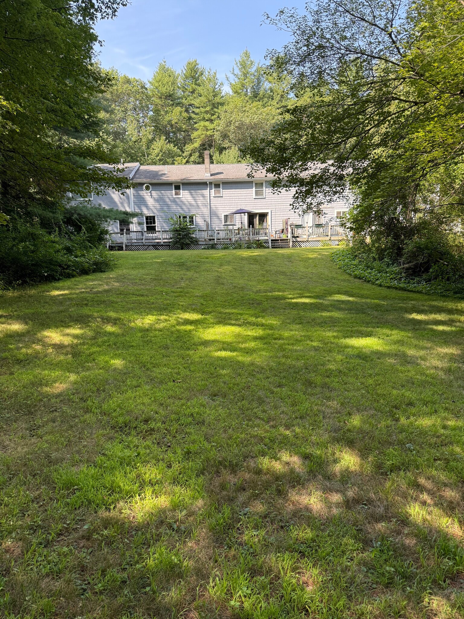 Back of House - 843 Boston Rd
