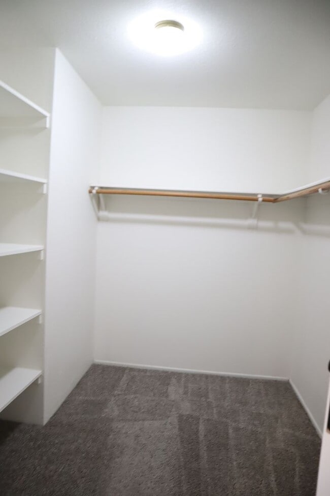 Building Photo - A Home You Have To See To Believe!!!