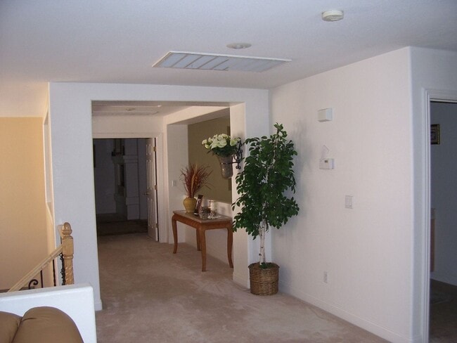 Building Photo - LACEBARK PINE