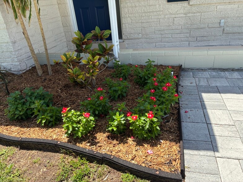 Building Photo - 52 Cypress Dr