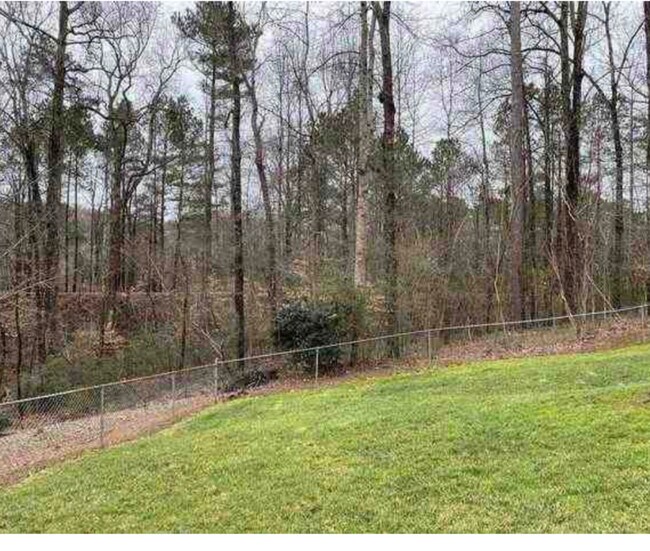 Professionally maintained lawn - 4090 Norton Pl SE