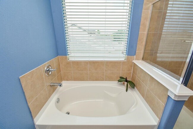 Building Photo - 3322 Aegean Dr