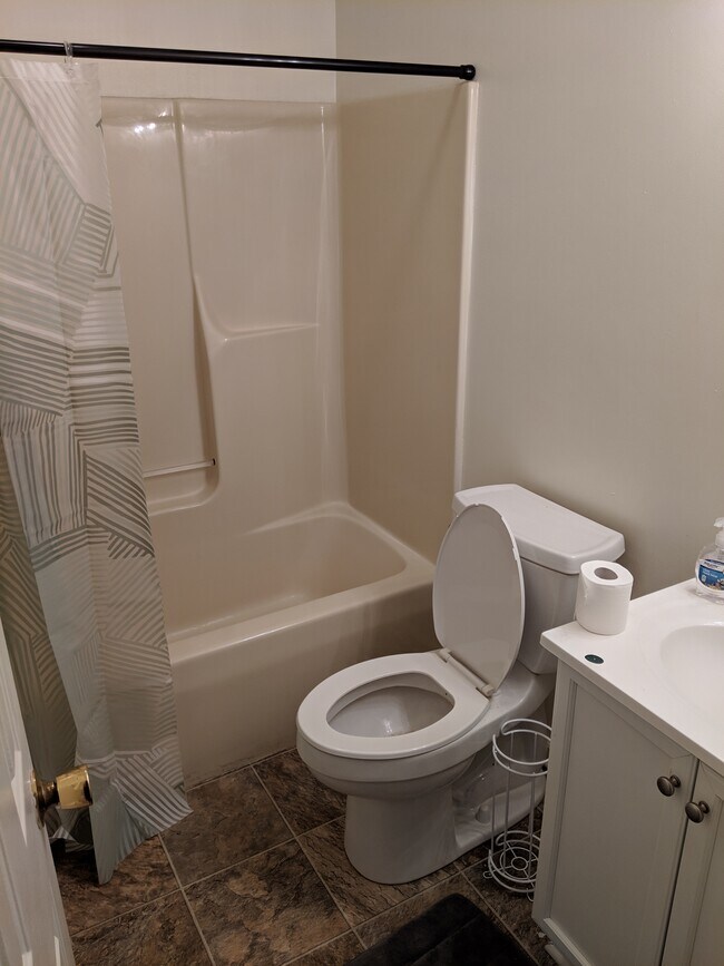 Downstairs Bathroom - 892 Patrick Henry Dr